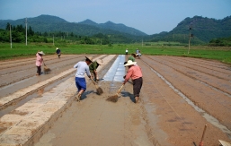 學(xué)會(huì)這個(gè)，再也不用為煮米飯而發(fā)愁